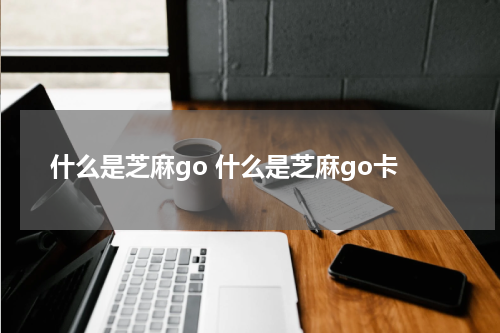 什么是芝麻go 什么是芝麻go卡