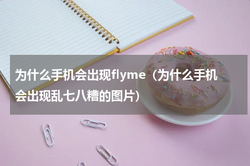 为什么手机会出现flyme（为什么手机会出现乱七八糟的图片）