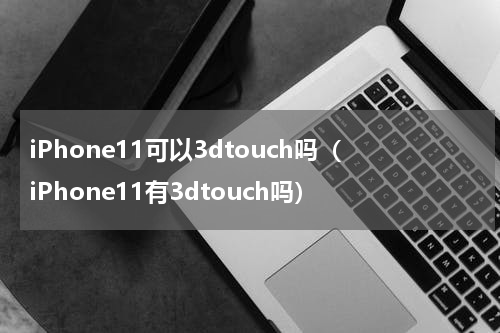 iPhone11可以3dtouch吗（iPhone11有3dtouch吗）
