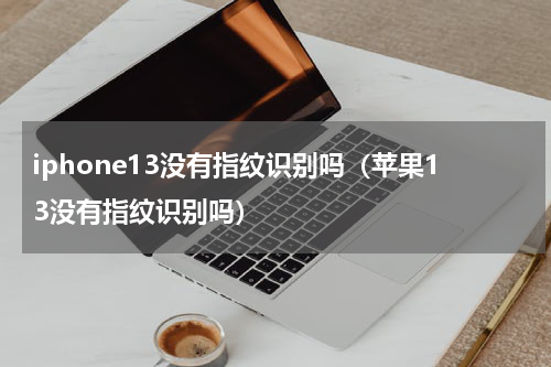 iphone13没有指纹识别吗（苹果13没有指纹识别吗）