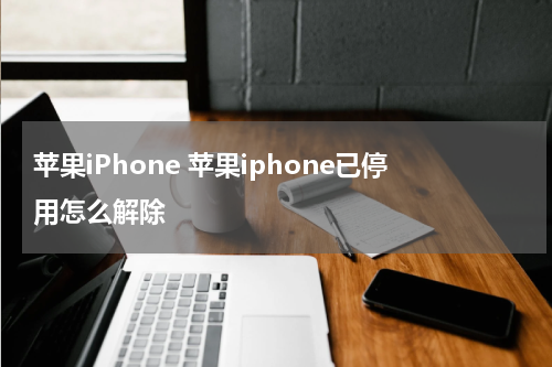 苹果iPhone 苹果iphone已停用怎么解除