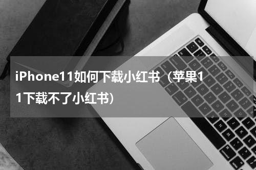iPhone11如何下载小红书（苹果11下载不了小红书）