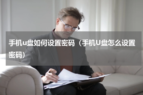 手机u盘如何设置密码（手机U盘怎么设置密码）