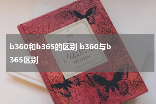 b360和b365的区别 b360与b365区别