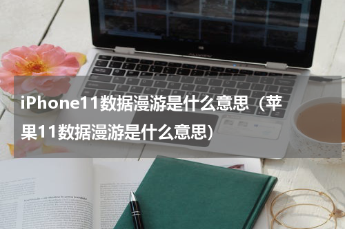 iPhone11数据漫游是什么意思（苹果11数据漫游是什么意思）