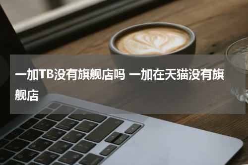 一加TB没有旗舰店吗 一加在天猫没有旗舰店