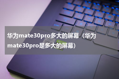华为mate30pro多大的屏幕（华为mate30pro是多大的屏幕）