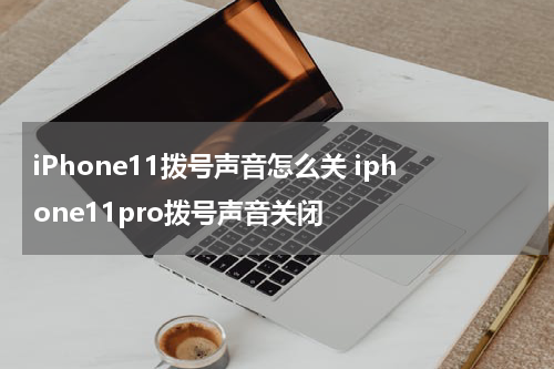 iPhone11拨号声音怎么关 iphone11pro拨号声音关闭