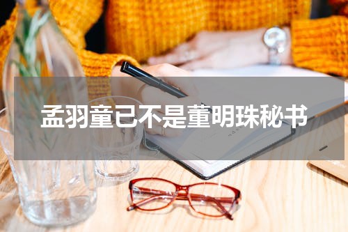 孟羽童已不是董明珠秘书