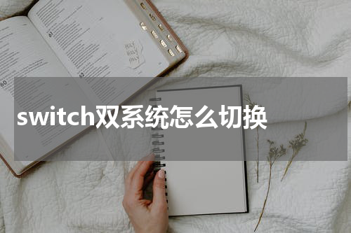 switch双系统怎么切换