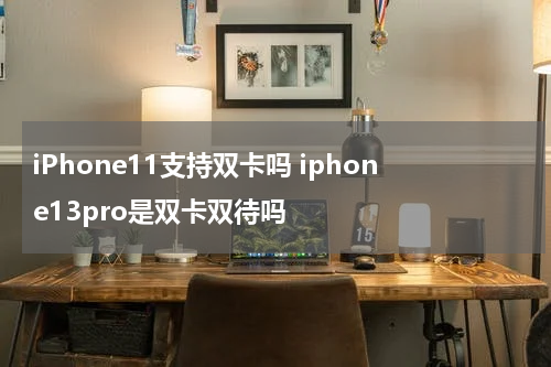 iPhone11支持双卡吗 iphone13pro是双卡双待吗