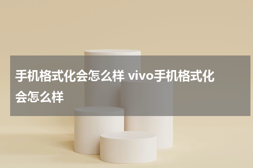 手机格式化会怎么样 vivo手机格式化会怎么样