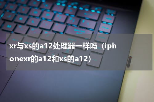 xr与xs的a12处理器一样吗（iphonexr的a12和xs的a12）