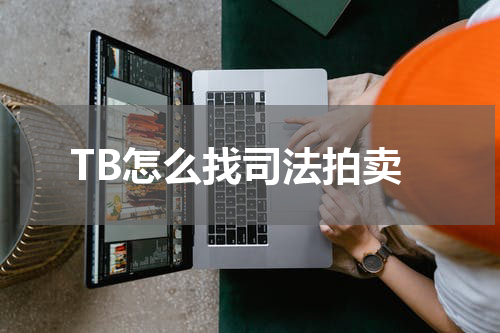 TB怎么找司法拍卖