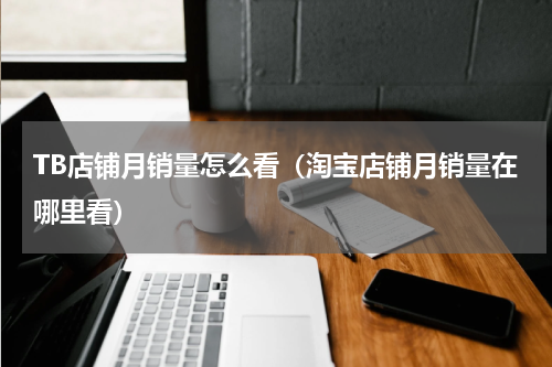 TB店铺月销量怎么看（淘宝店铺月销量在哪里看）