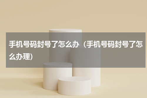 手机号码封号了怎么办（手机号码封号了怎么办理）