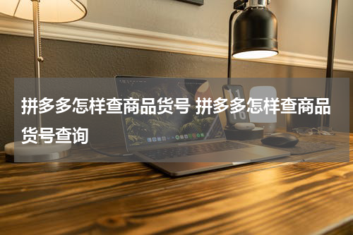 拼多多怎样查商品货号 拼多多怎样查商品货号查询