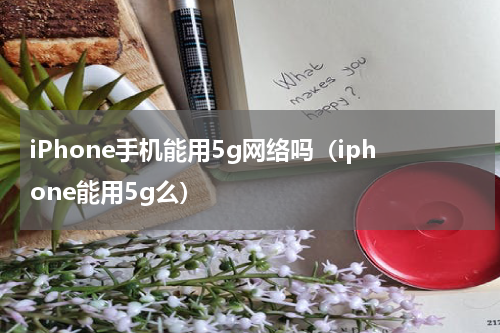iPhone手机能用5g网络吗（iphone能用5g么）