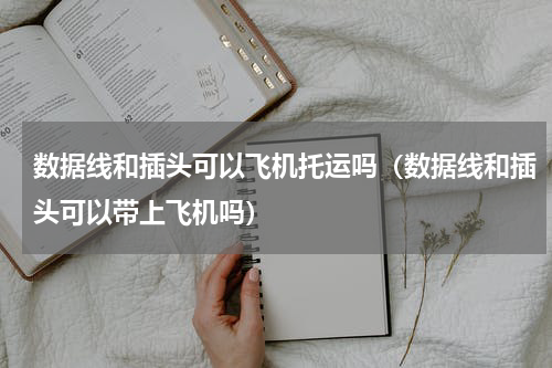 数据线和插头可以飞机托运吗（数据线和插头可以带上飞机吗）