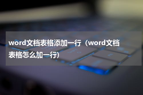 word文档表格添加一行（word文档表格怎么加一行）