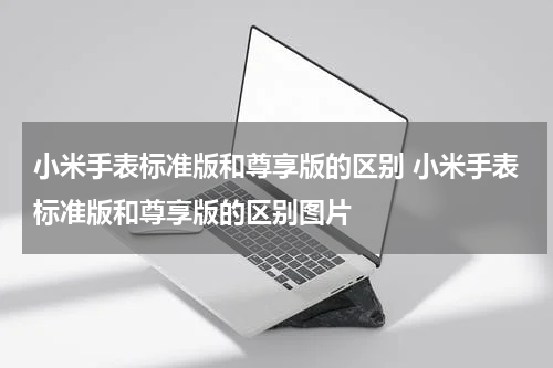 小米手表标准版和尊享版的区别 小米手表标准版和尊享版的区别图片