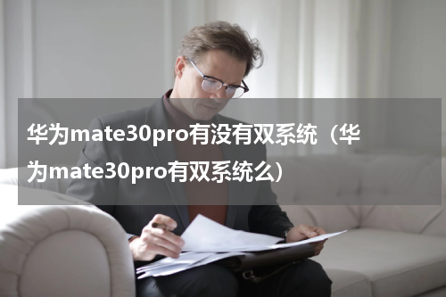 华为mate30pro有没有双系统（华为mate30pro有双系统么）