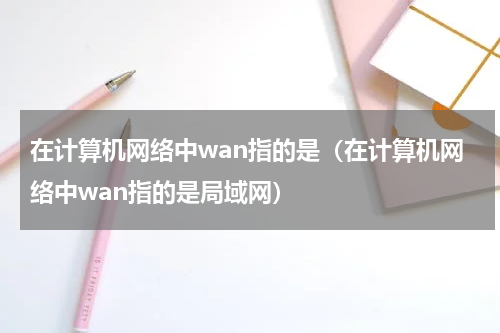 在计算机网络中wan指的是（在计算机网络中wan指的是局域网）