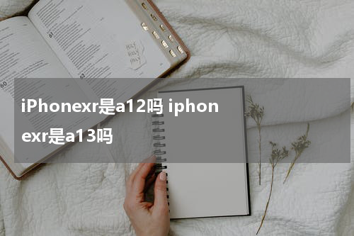 iPhonexr是a12吗 iphonexr是a13吗