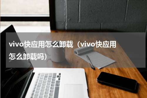 vivo快应用怎么卸载（vivo快应用怎么卸载吗）