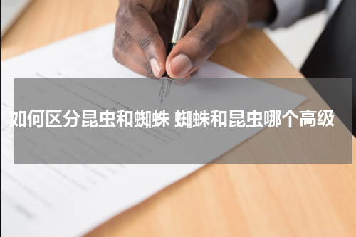 如何区分昆虫和蜘蛛 蜘蛛和昆虫哪个高级