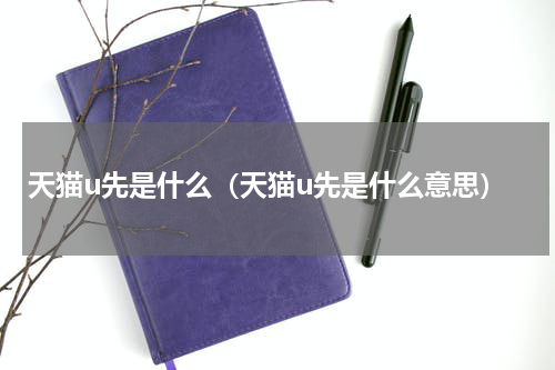 天猫u先是什么（天猫u先是什么意思）