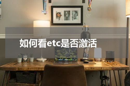 如何看etc是否激活