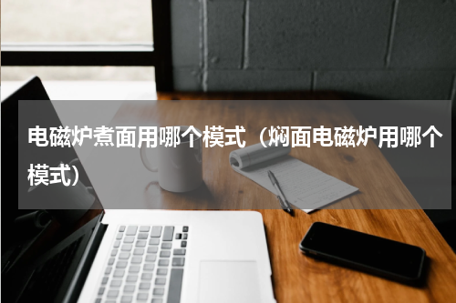 电磁炉煮面用哪个模式（焖面电磁炉用哪个模式）