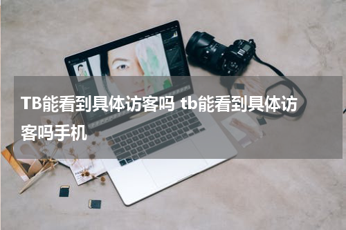 TB能看到具体访客吗 tb能看到具体访客吗手机