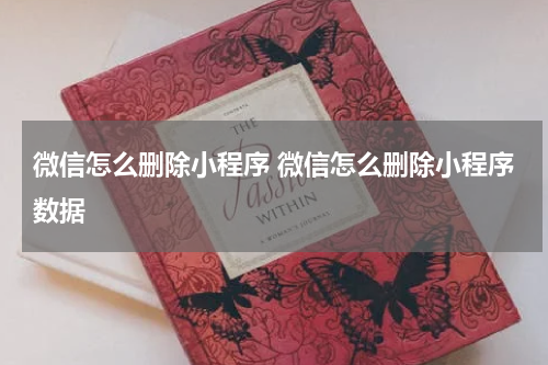 微信怎么删除小程序 微信怎么删除小程序数据