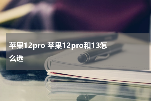 苹果12pro 苹果12pro和13怎么选
