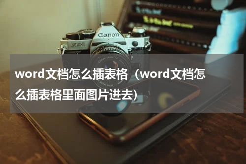 word文档怎么插表格（word文档怎么插表格里面图片进去）
