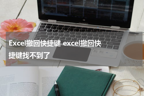 Excel撤回快捷键 excel撤回快捷键找不到了