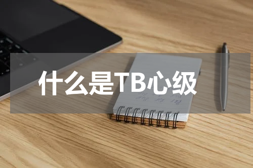 什么是TB心级