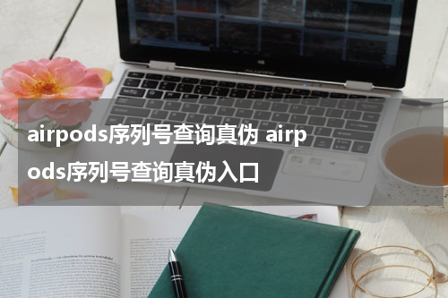airpods序列号查询真伪 airpods序列号查询真伪入口