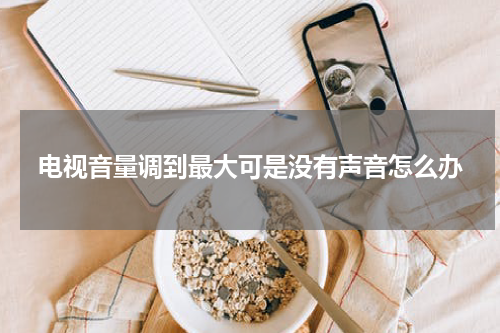 电视音量调到最大可是没有声音怎么办
