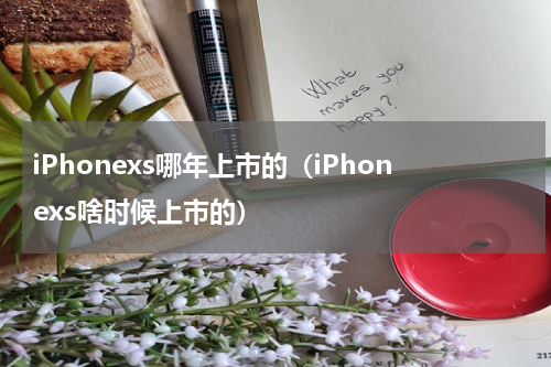 iPhonexs哪年上市的（iPhonexs啥时候上市的）