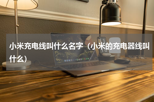 小米充电线叫什么名字（小米的充电器线叫什么）