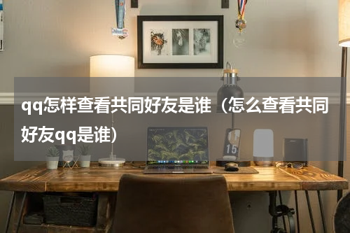 qq怎样查看共同好友是谁（怎么查看共同好友qq是谁）