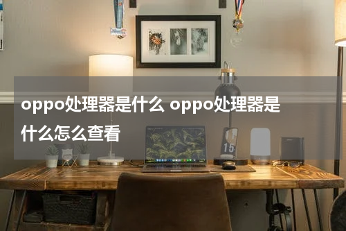 oppo处理器是什么 oppo处理器是什么怎么查看