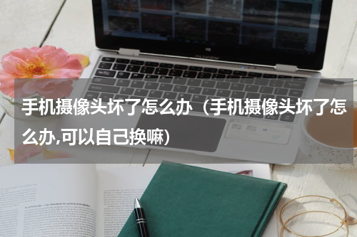 手机摄像头坏了怎么办（手机摄像头坏了怎么办,可以自己换嘛）