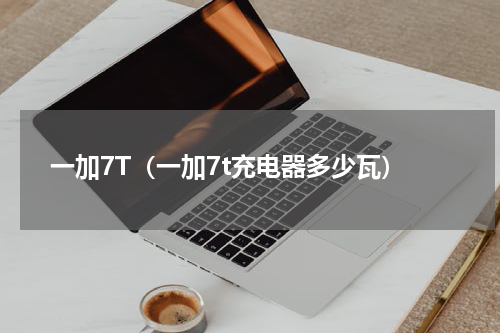 一加7T（一加7t充电器多少瓦）