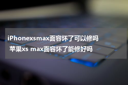 iPhonexsmax面容坏了可以修吗 苹果xs max面容坏了能修好吗