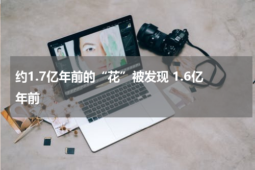 约1.7亿年前的“花”被发现 1.6亿年前