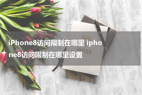 iPhone8访问限制在哪里 iphone8访问限制在哪里设置